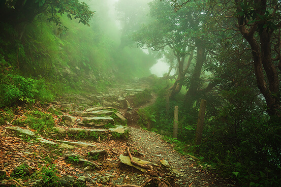 Taking a break in nature