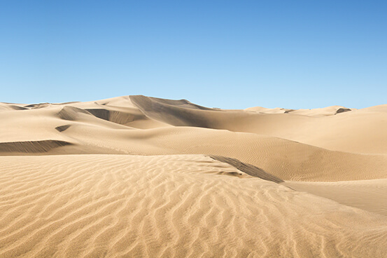 Safari in the dry desert