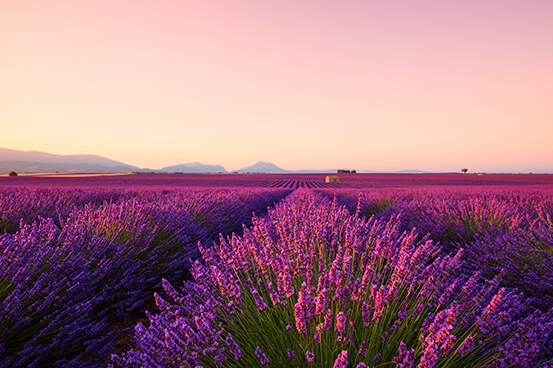 Mediterranean landscape